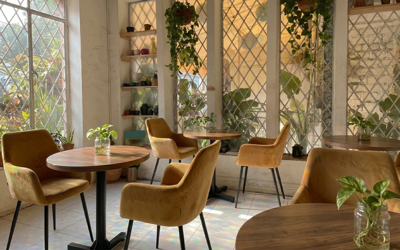 Ambiente Cafetería compacta